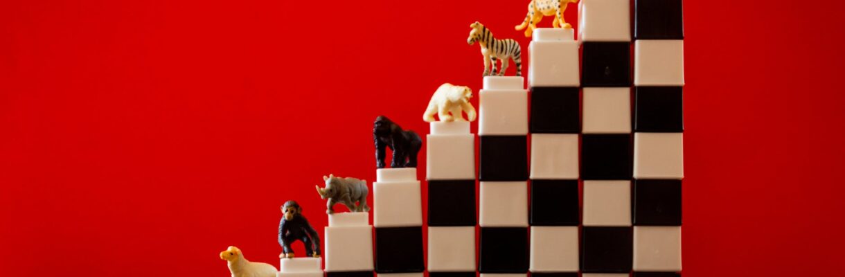 animal figurines on a staircase made of toy blocks