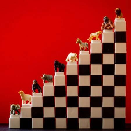 animal figurines on a staircase made of toy blocks